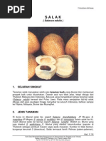 Download SALAK by dhiforester SN8736513 doc pdf