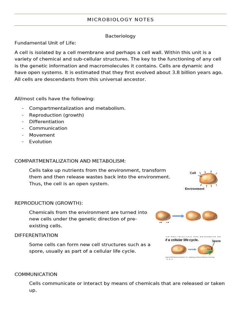 Microbiology: Bacteriology Overview | PDF | Bacteria | Cell (Biology)