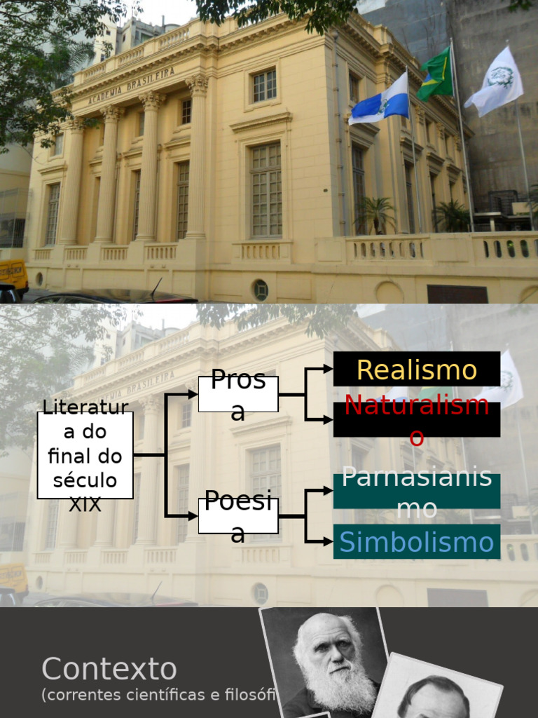 Realismo e Naturalismo na Literatura | PDF | Realismo (artes)
