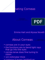 Corneas-4