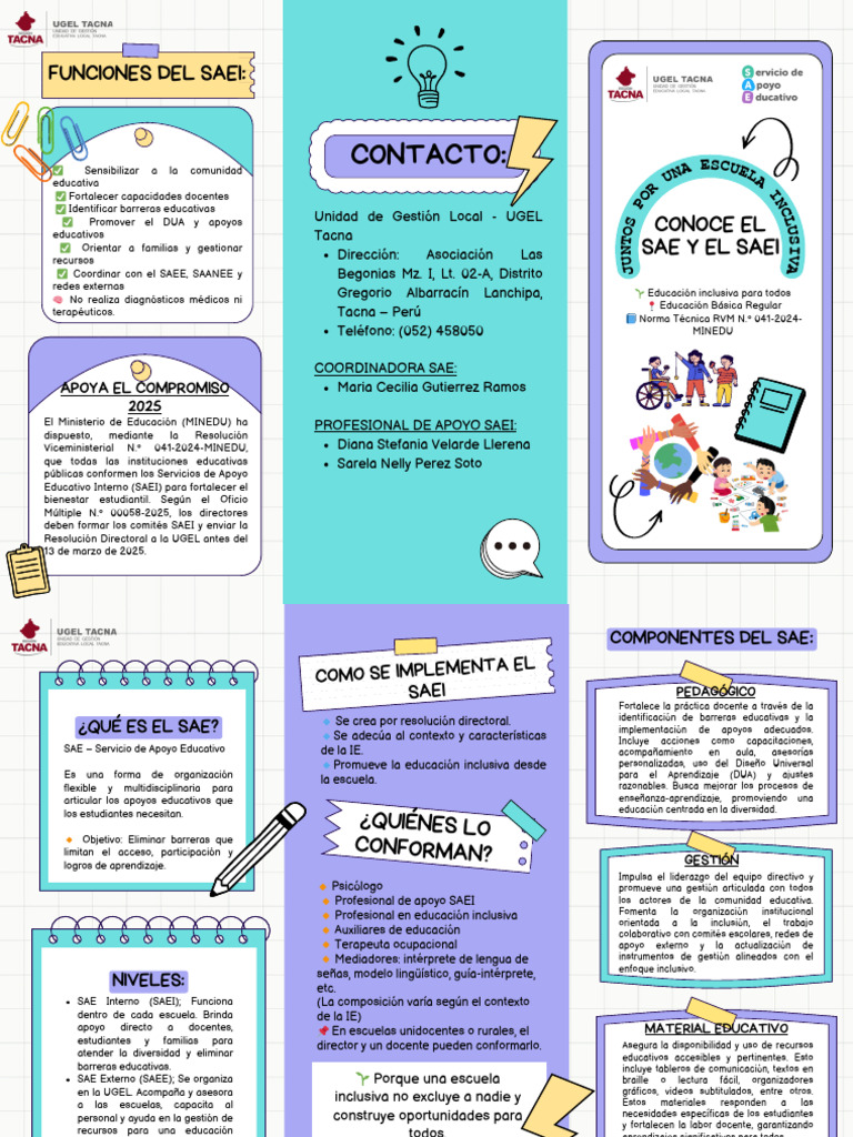Implementación del SAEI en Escuelas Inclusivas | PDF | Inclusión ...