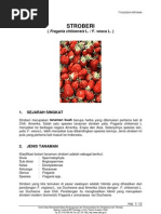 Download STROBERI by dhiforester SN8736965 doc pdf