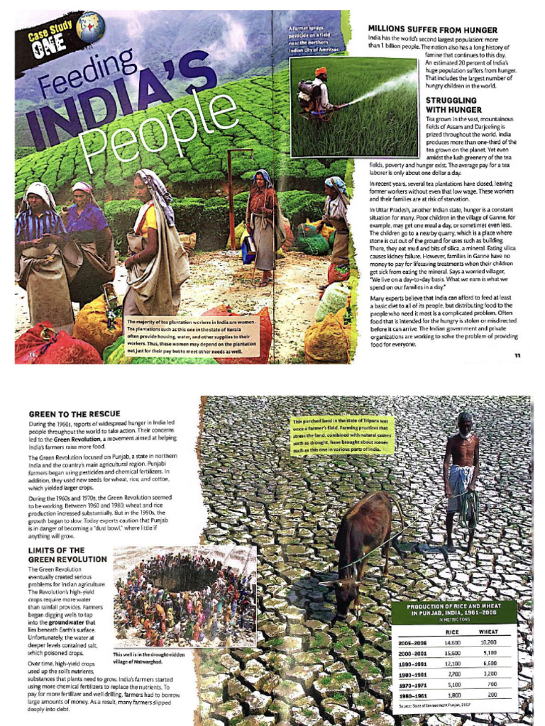 Food Supply - Case Study 1 | PDF