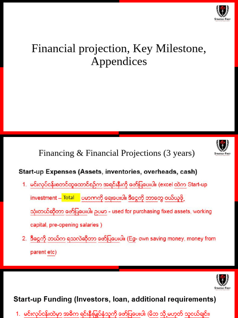 Financing, Milestone, Appendices | PDF