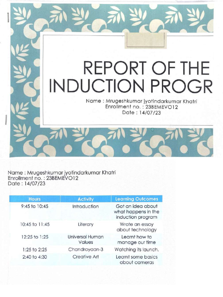 Induction Program Report | PDF