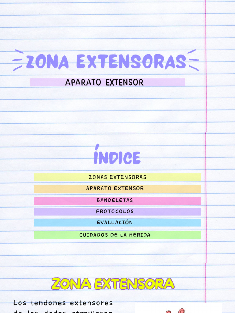 Seminario Zona Extensora | PDF | Sistema musculoesquelético ...