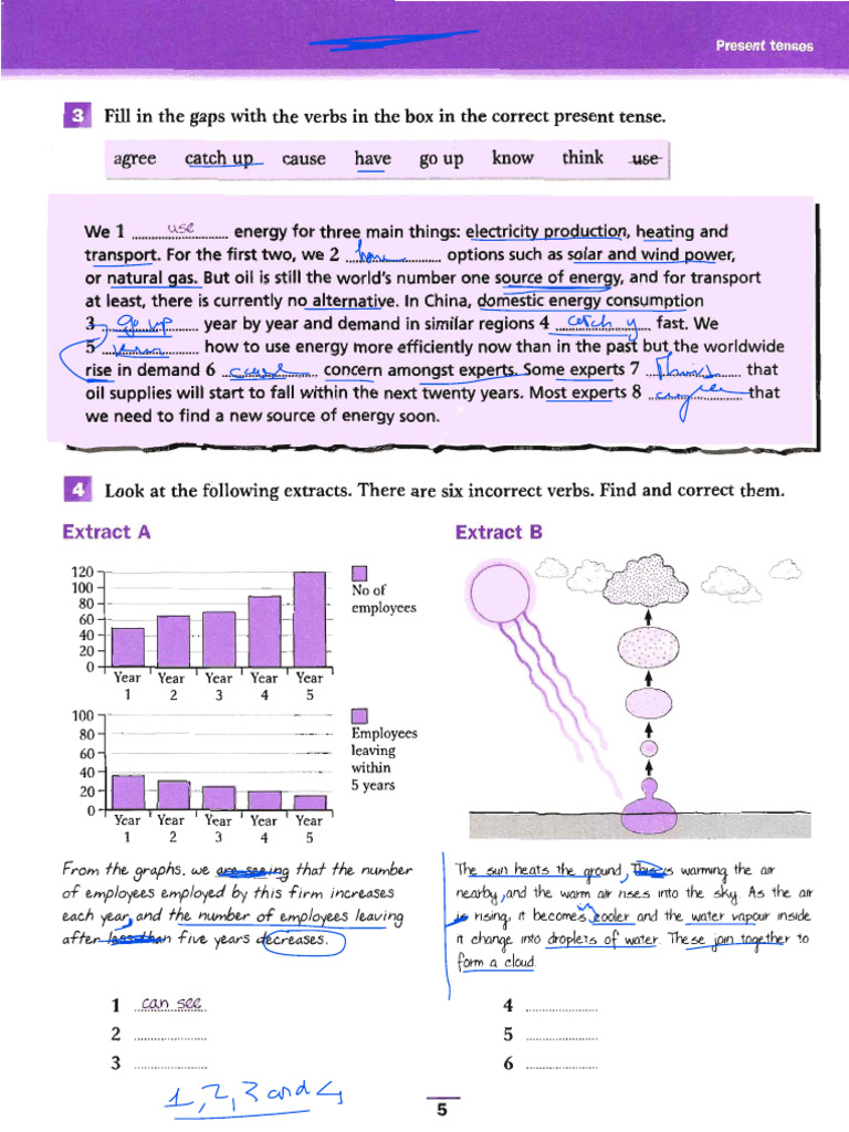 Additional Exercises Lesson 1 | PDF
