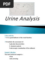 Urinalysis Result Interpretation Guide | PDF | Kidney | Diabetes