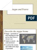 Steppe and Prairie