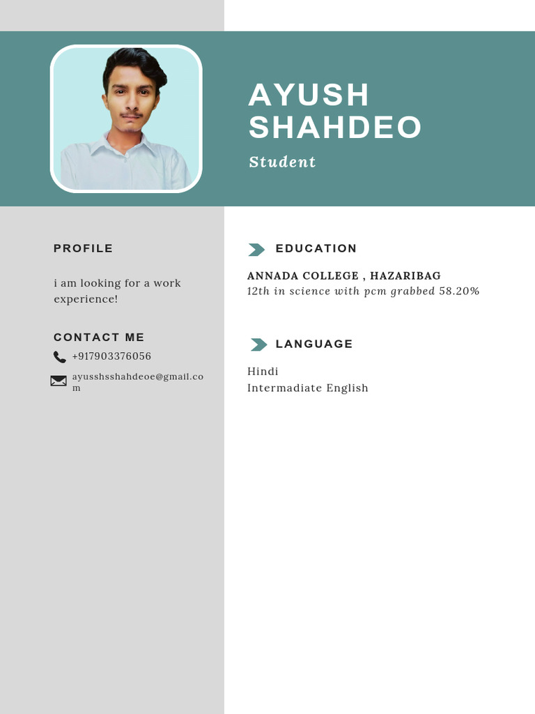 BTech - CSE Student, I Am Looking For A Work Experience! | PDF