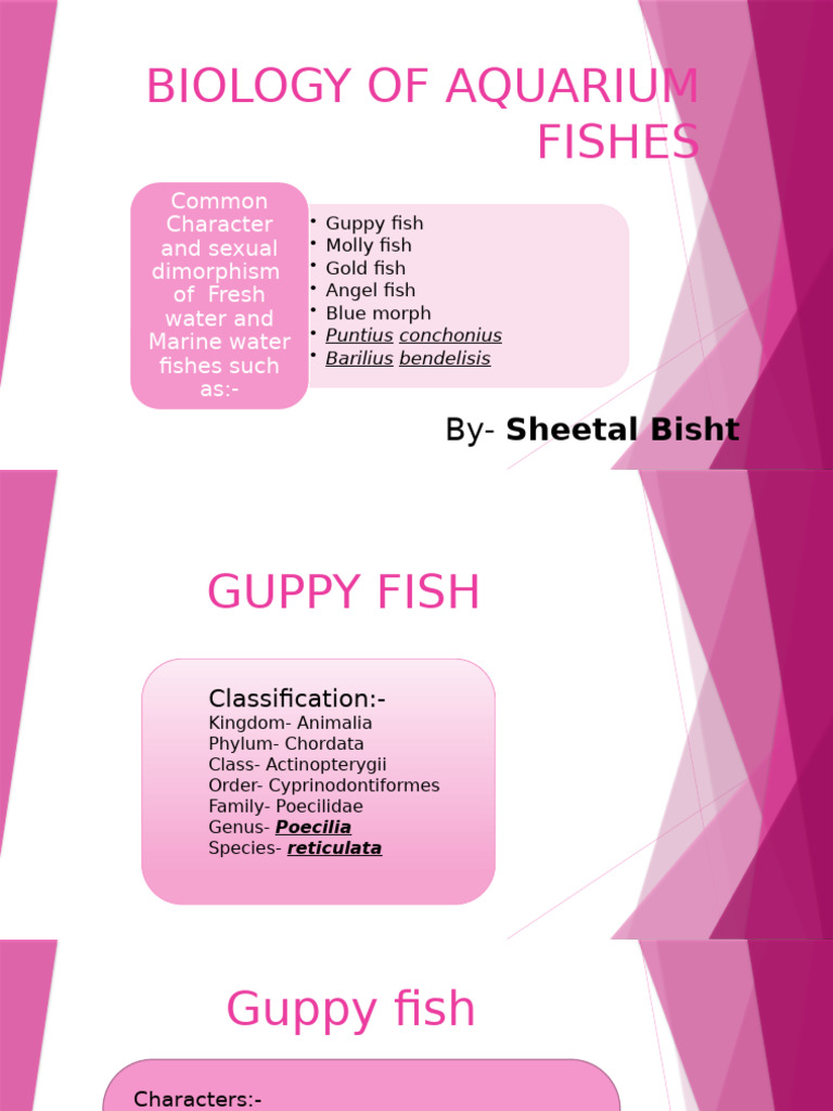 Aquarium Fish Biology and Dimorphism | PDF | Fish | Zoology