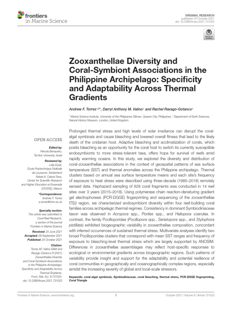 Coral-Symbiont Diversity in the Philippines | PDF | Coral | Coral Reef