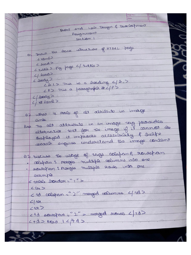Devansh 24 - 239 Front End Design and Development Assignment | PDF