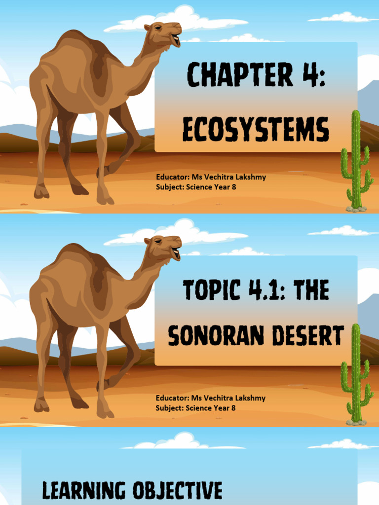 Year 8 - Topic Chapter 4.1 - 10.04.20 | PDF | Desert | Plants