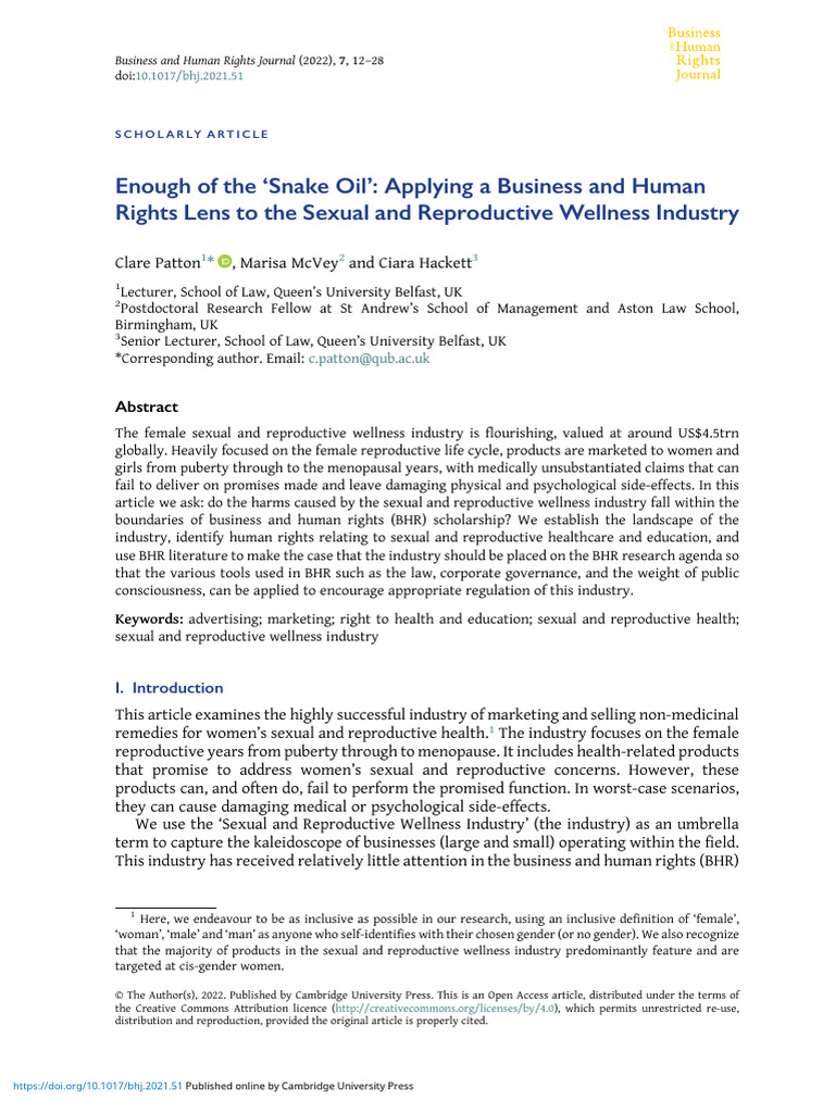 Enough of The Snake Oil Applying A Business and Human Rights Lens To ...