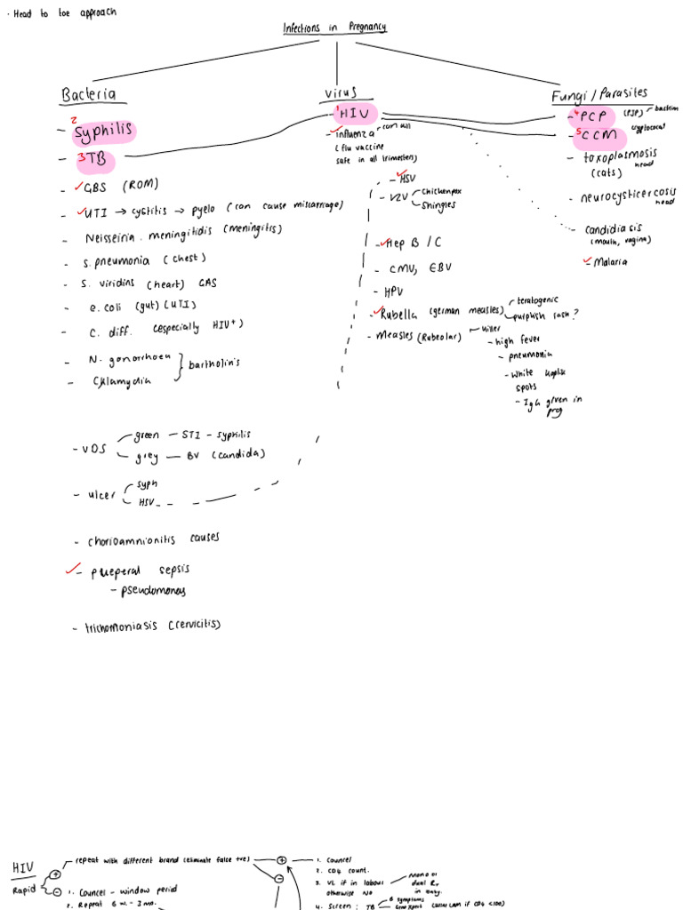 Notebook | PDF