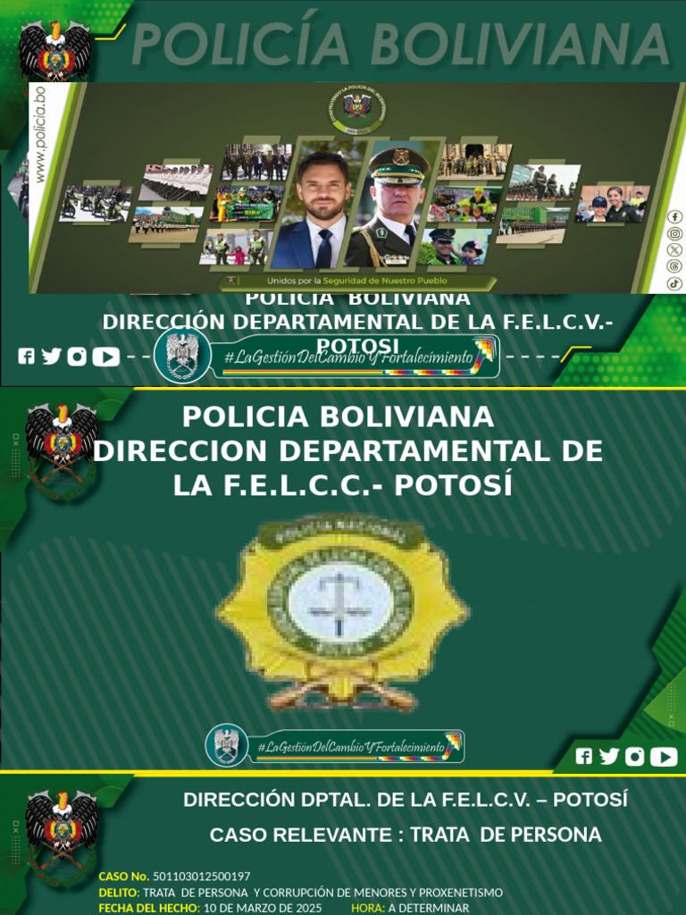 Reporte de La Felcc | PDF