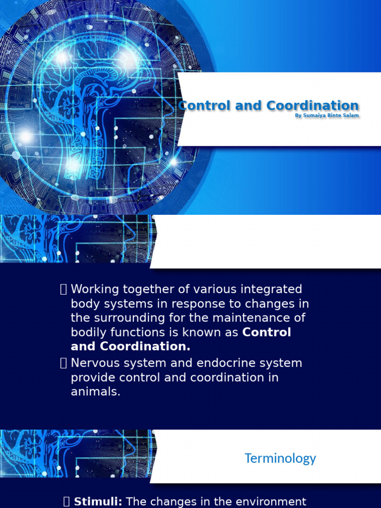 Control and Coordination | PDF | Neuron | Axon