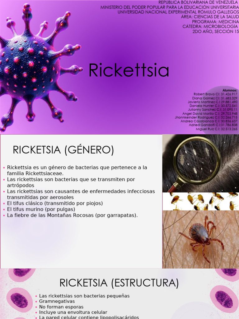 Rickettsia: Enfermedades y Tratamientos | PDF | Medicina CLINICA ...