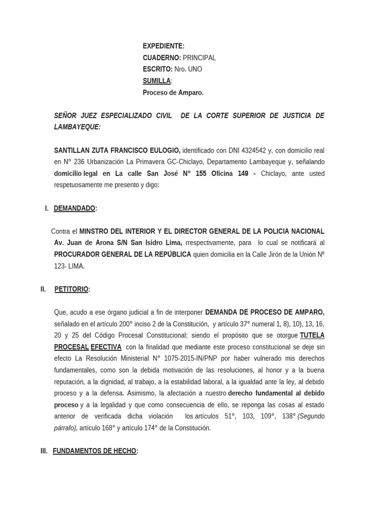 Amparo | PDF | Caso de ley | Demanda judicial