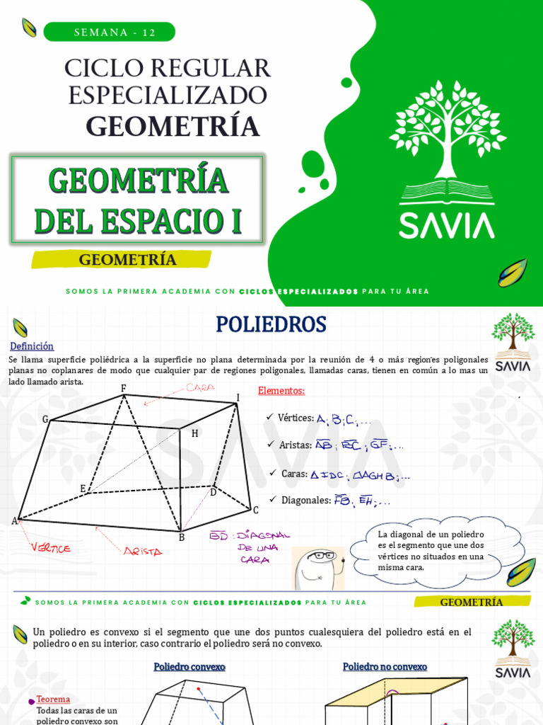 Ciclo Regular Especializado: Geometría | PDF | Tetraedro | Triángulo