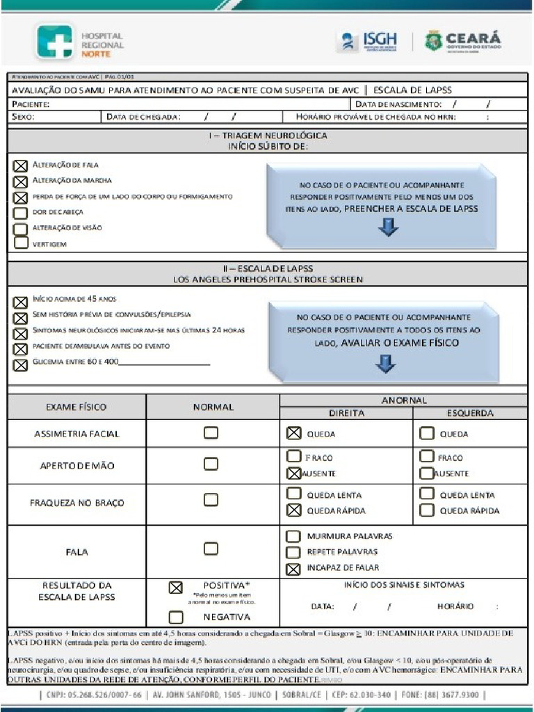 Lapss - Pedro Inacio de Oliveira | PDF