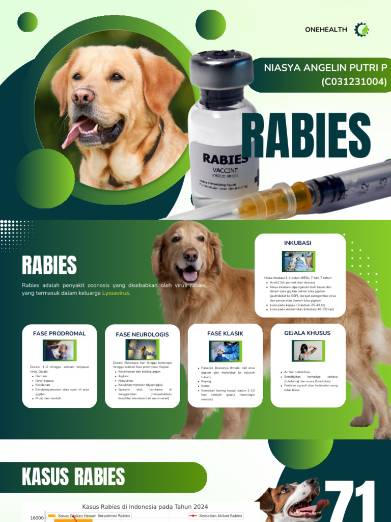 Pencegahan dan Dampak Rabies One Health | PDF