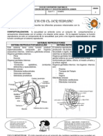 Guia n.2 Reproduccion Humana