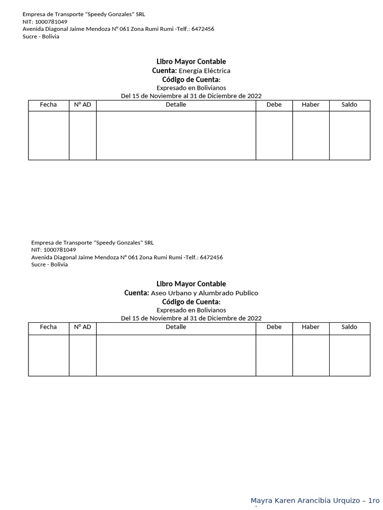 Libro Mayor Contable | PDF | Economias