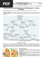 Download Guia n4 Excrecion en El Ser Humano by Rubi Cardenas SN87398646 doc pdf