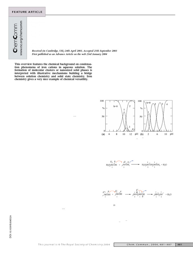 Iron Oxide Chemistry. From Molecular Clusters To Extended Solid ...