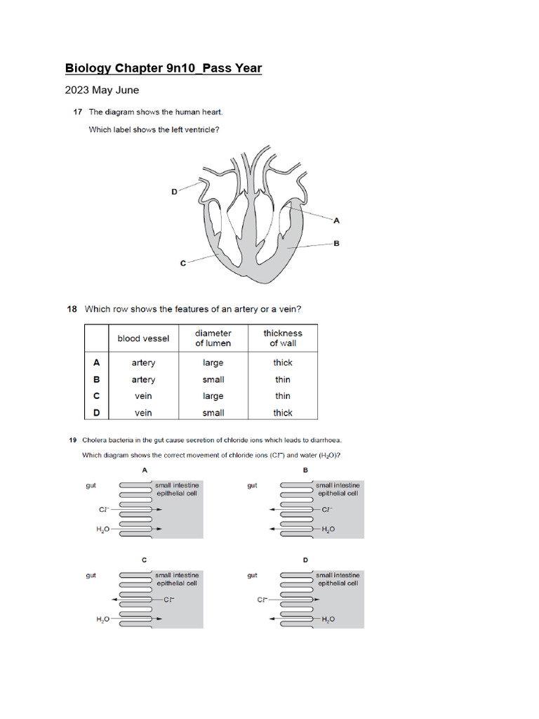 Biology Chapter 9n10 - PYQ | PDF