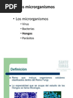 3. 29 Hongos, Tipos de Flora