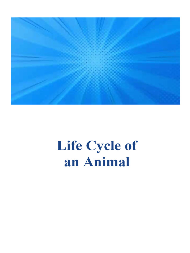 Animal Life Cycles and Reproduction | PDF | Mammals | Reproduction