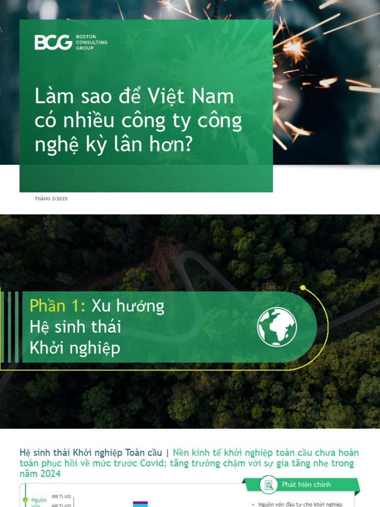 BCG Full Presentation - VN | PDF
