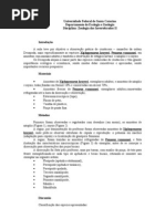 Download relatrio crustacea decapoda by Renata Turbay Freiria SN87405267 doc pdf