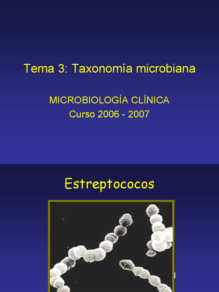 taxonomia microbiana Estreptococo Estafilococo áureo