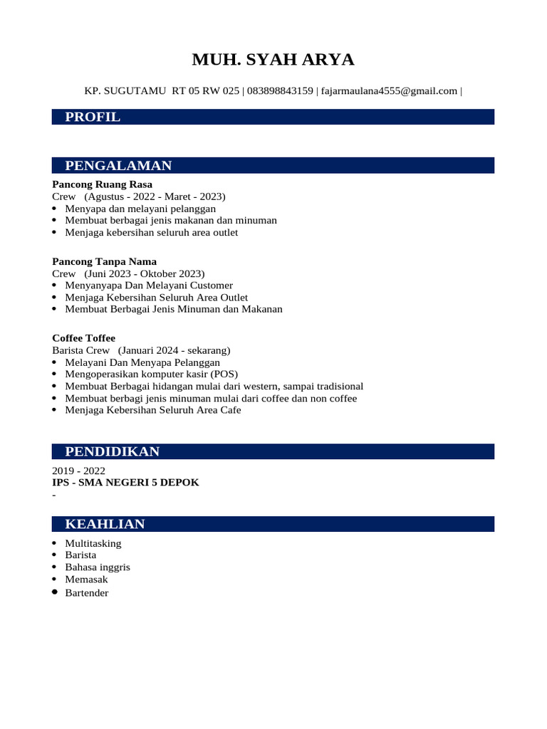 CV Arya 9 Nov | PDF