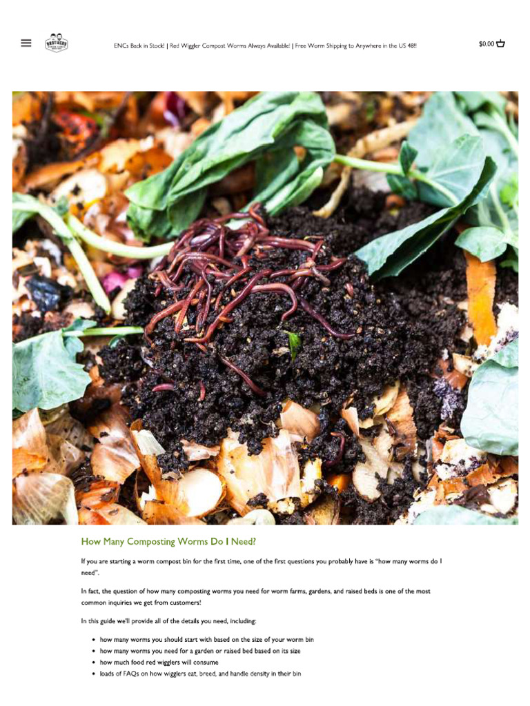How Many Composting Worms Do I Need | PDF