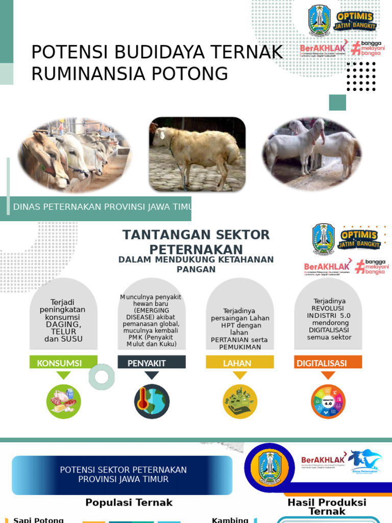 Potensi Budidaya Ternak Ruminansia Jatim | PDF