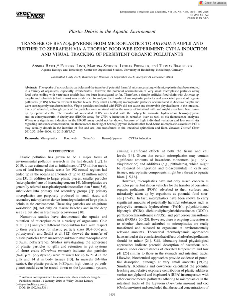 Plastic Debris in The Aquatic Environment | PDF | Plastic ...