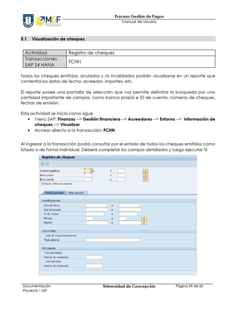 Visualización de Cheques en SAP FCHN | PDF