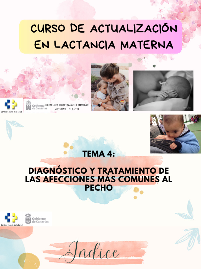 4.-Chuimi Tema 4 | PDF