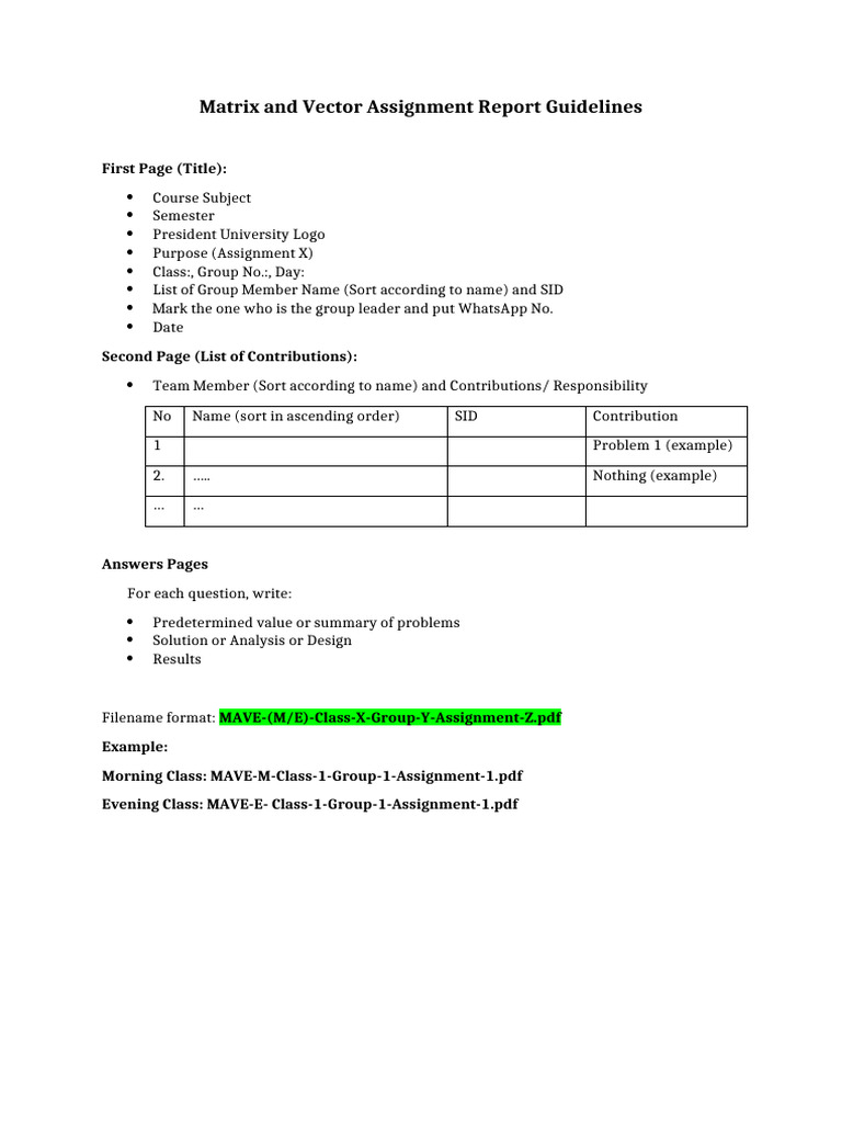 Matrix and Vector Assignment Guidelines | PDF