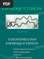 Espiroquetas - Sífilis
