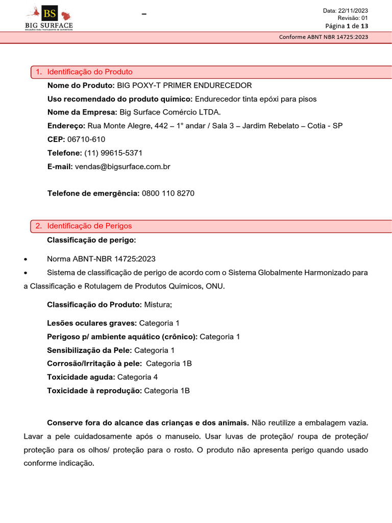 Ficha de Segurança BIG POXY-T PRIMER | PDF | Incêndios | Primeiros socorros