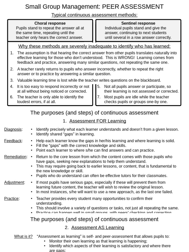 Peer Assessment.2019.06.10 | PDF | Learning | Teachers