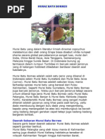 Download Murai Batu Borneo by Hobby Uniq SN87423477 doc pdf