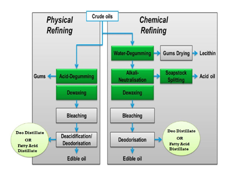 MLS - RM Deo Distillate | PDF