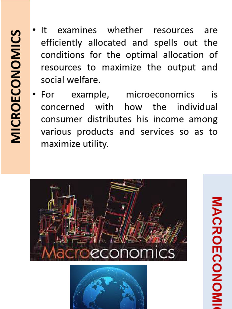 Micro vs Macro Economics Explained | PDF | Macroeconomics | Microeconomics